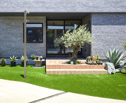 エデンホームが施工した福岡県の住宅。オリーブを中心に沢山の緑に囲まれた美しい外構・庭となっている。芝生は人工芝を採用。