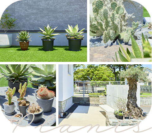 計画的で美しいエデンホームの植栽提案