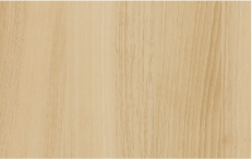 アクティオーク